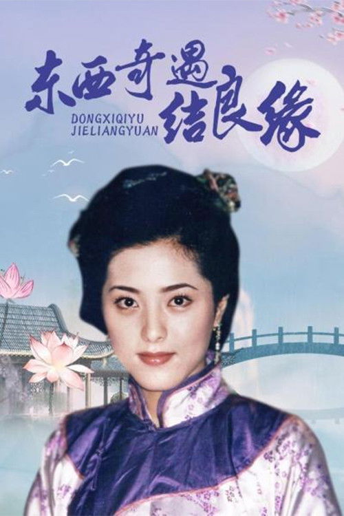 Dong Xi Qi Yu Jie Liang Yuan poster