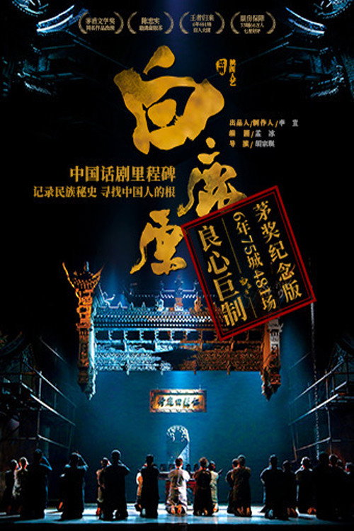 Movie poster for 白鹿原 (2006)