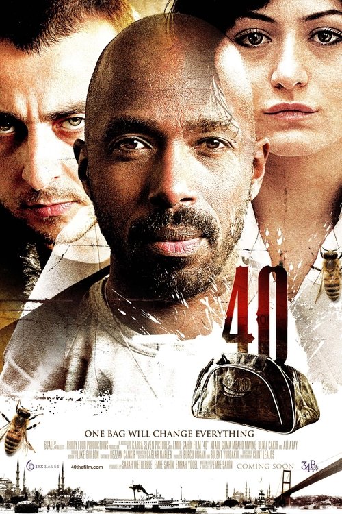 Movie poster for 40 (2009)