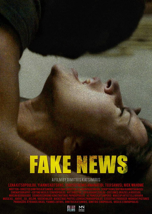 Movie poster for Fake News (2018)