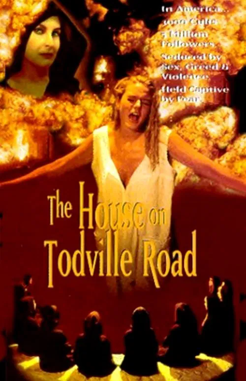 Movie poster for The House on Todville Road (1994)