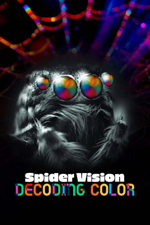 Movie poster for Spider Vision: Decoding Color (2024)