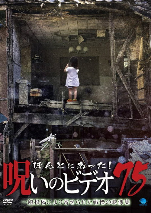 Movie poster for Honto Ni Atta! Noroi No Video 75 (2018)