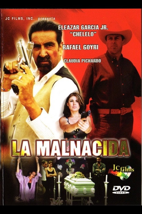 Movie poster for The Bastard (2004)