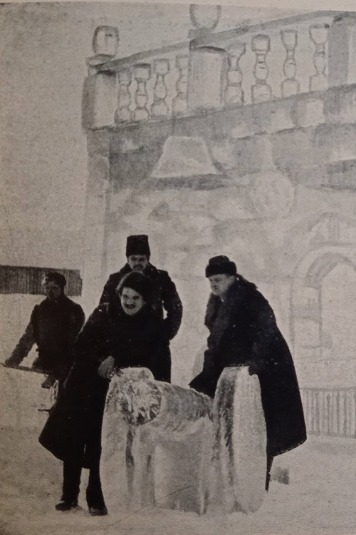 Movie poster for The Ice House (1916)