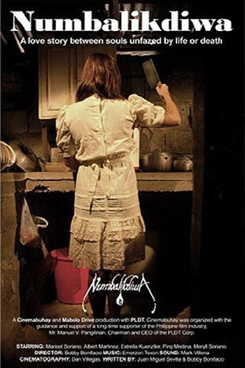 Movie poster for Numbalikdiwa (2006)