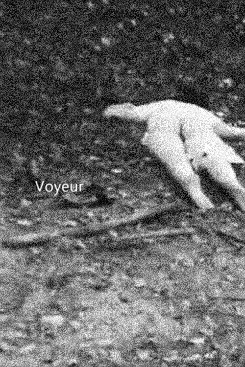 Movie poster for Voyeur (2022)