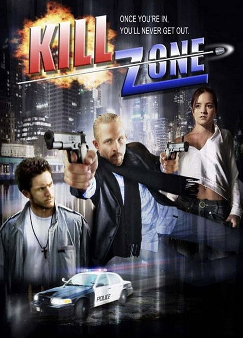 Movie poster for Kill Zone (2008)