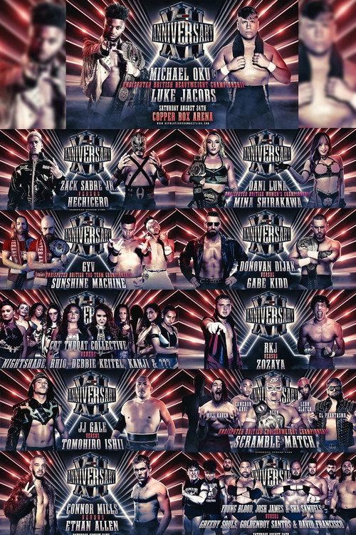 Movie poster for RevPro 12 Year Anniversary Show (2024)