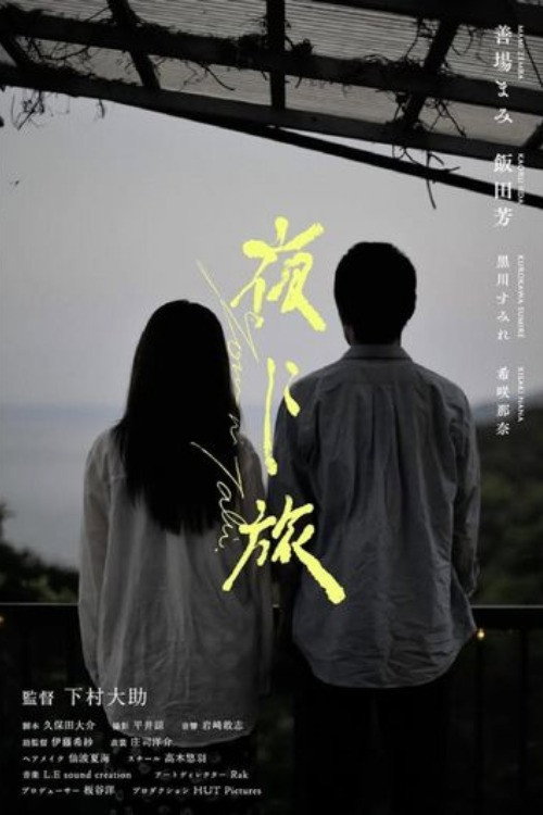 Movie poster for Journey Through the Night (2025)