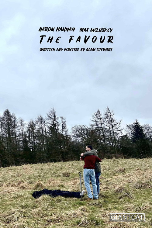 Movie poster for The Favour (2025)