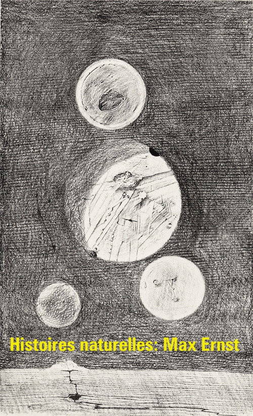 Movie poster for Histoires naturelles : Max Ernst (1972)