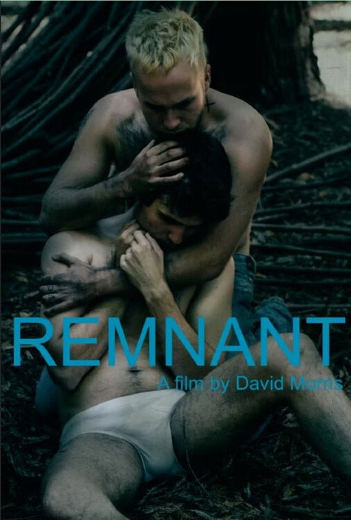 Movie poster for Remnant (2015)
