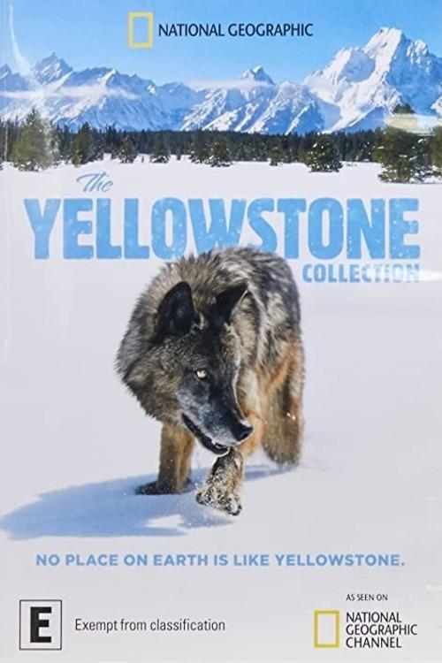 Series poster for The Yellowstone Collection (2020)
