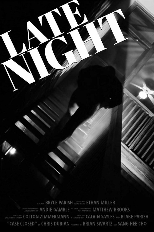 Movie poster for Late Night (2018)