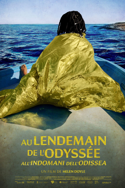 Movie poster for After the Odyssey (2024)