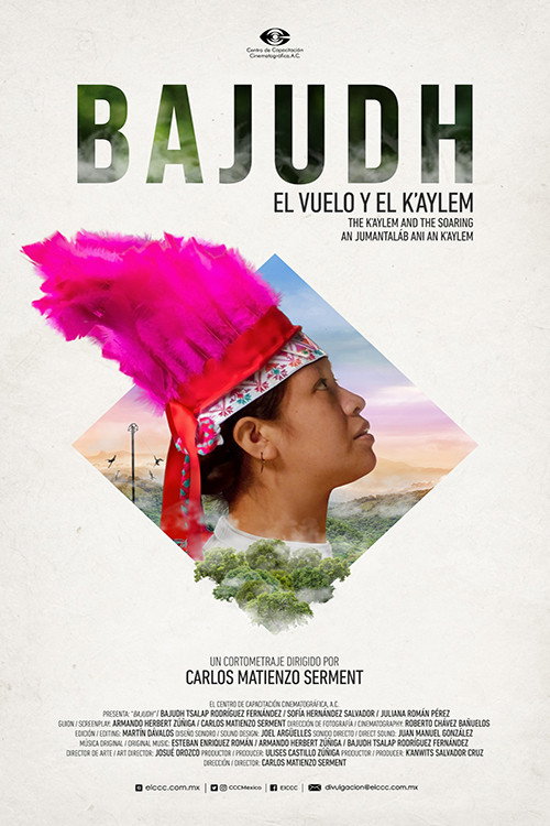 Movie poster for Bajudh (2023)
