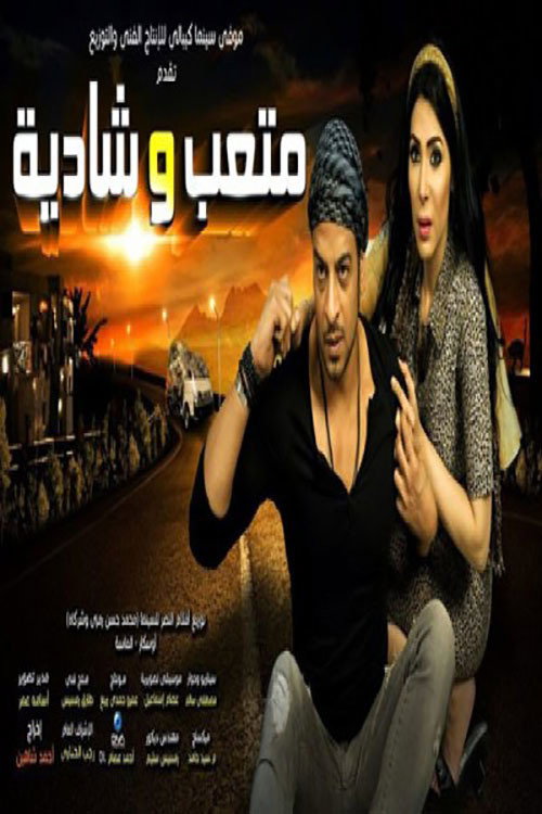 Movie poster for Metaab and Shadya (2013)