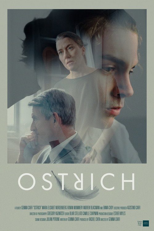 Movie poster for Ostrich