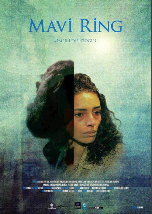 Movie poster for The Blue Van (2013)