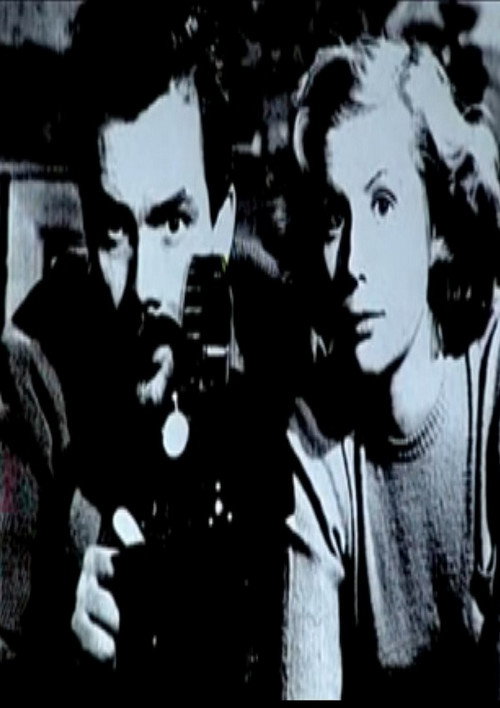 Movie poster for Journal des réalisateurs (2008)