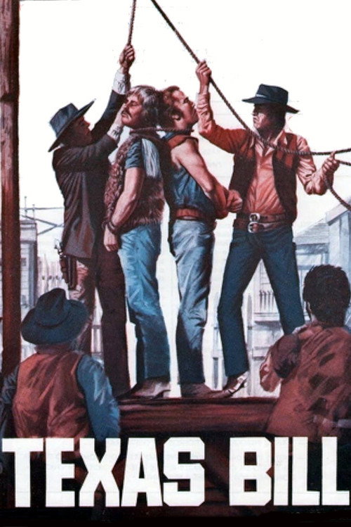 Movie poster for My Name Is Texas Bill (1972)