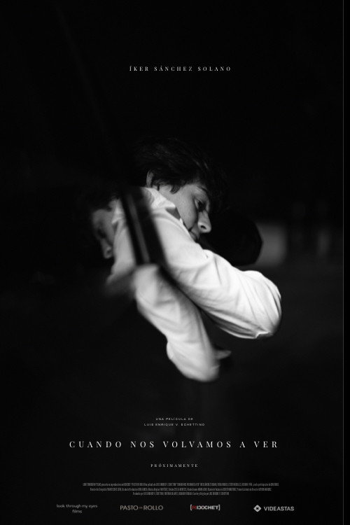 Movie poster for When We See Each Other