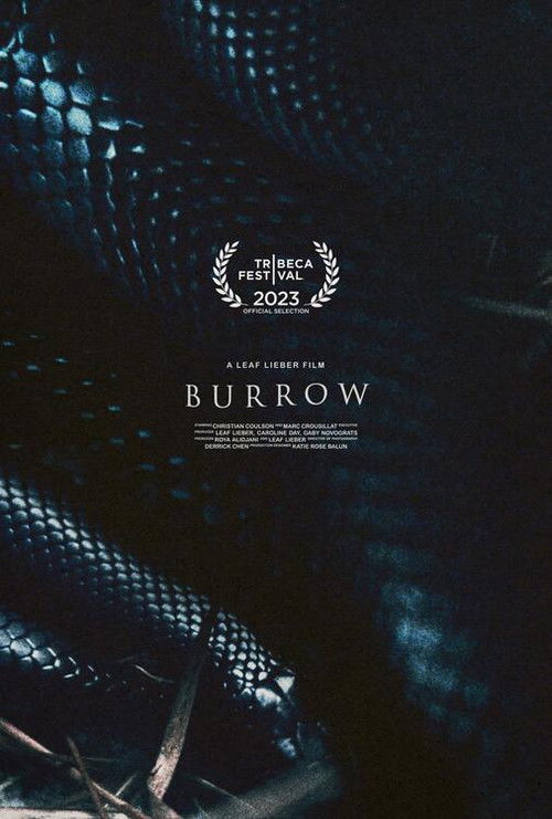 Movie poster for Burrow (2023)