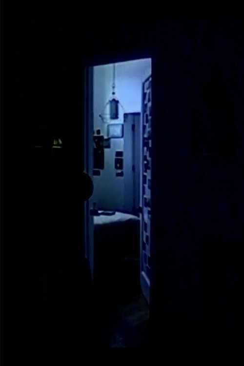 Movie poster for memory consolidation 02 (2025)