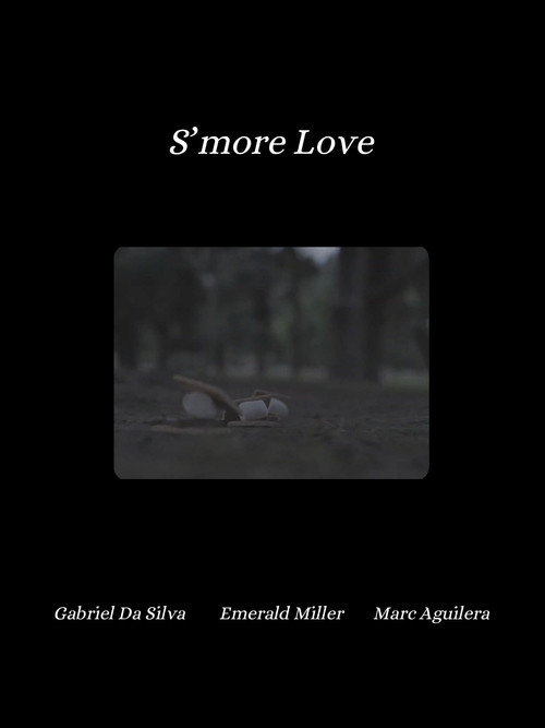 Movie poster for S'more Love (2024)