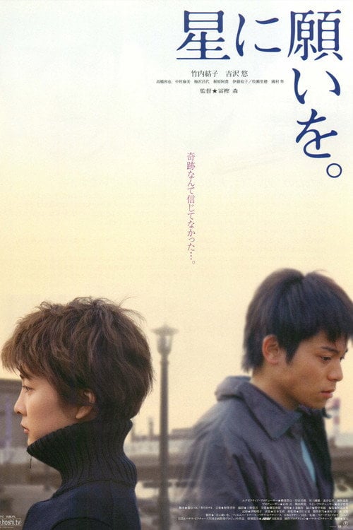 Movie poster for Night of the Shooting Stars (2003)