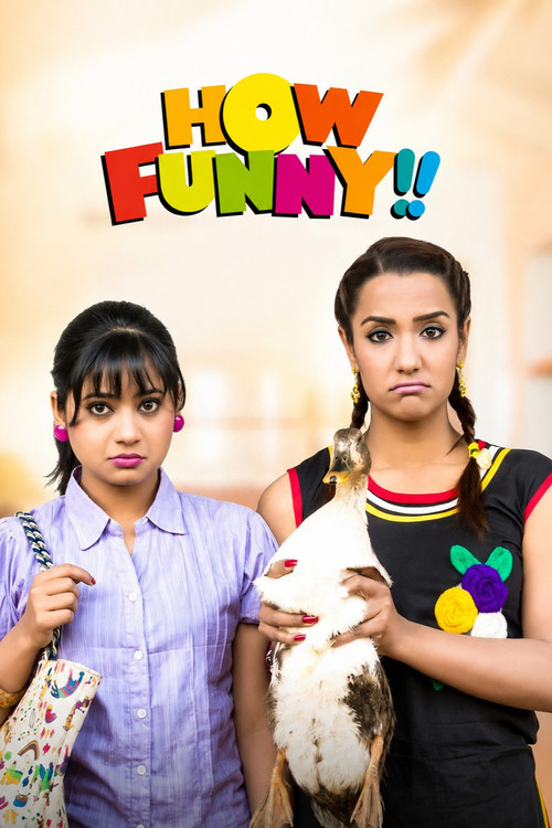 Movie poster for How Funny!! (2016)