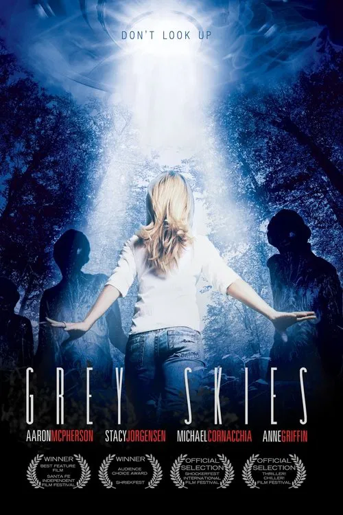 Movie poster for Grey Skies (2010)