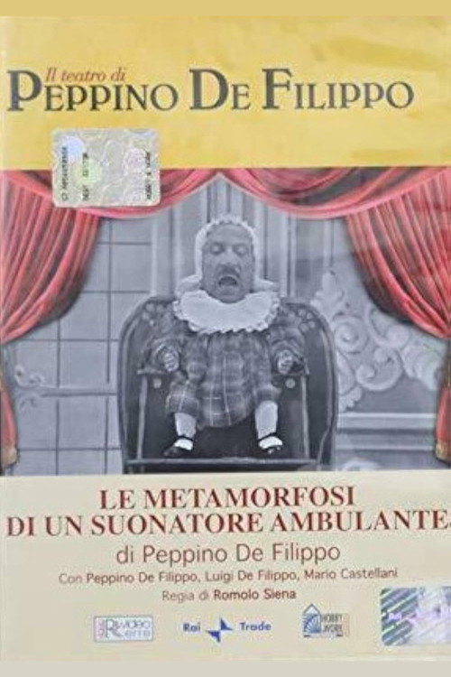 Movie poster for Le metamorfosi di un suonatore ambulante (1972)