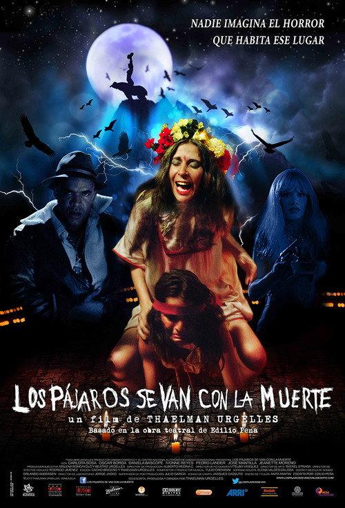Movie poster for Los pájaros se van con la muerte (2013)