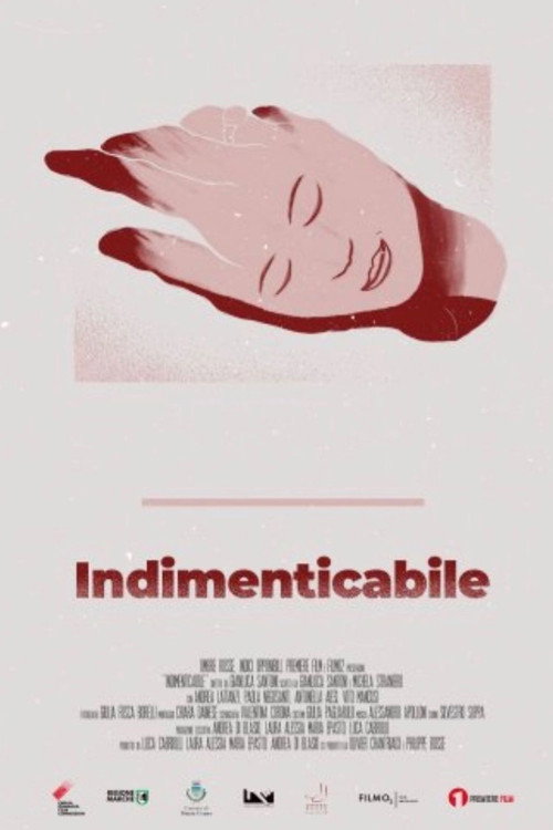 Movie poster for Indimenticabile (2019)