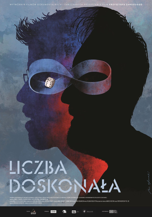 Movie poster for The Perfect Number (2022)