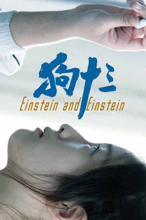 Movie poster for Einstein and Einstein (2018)