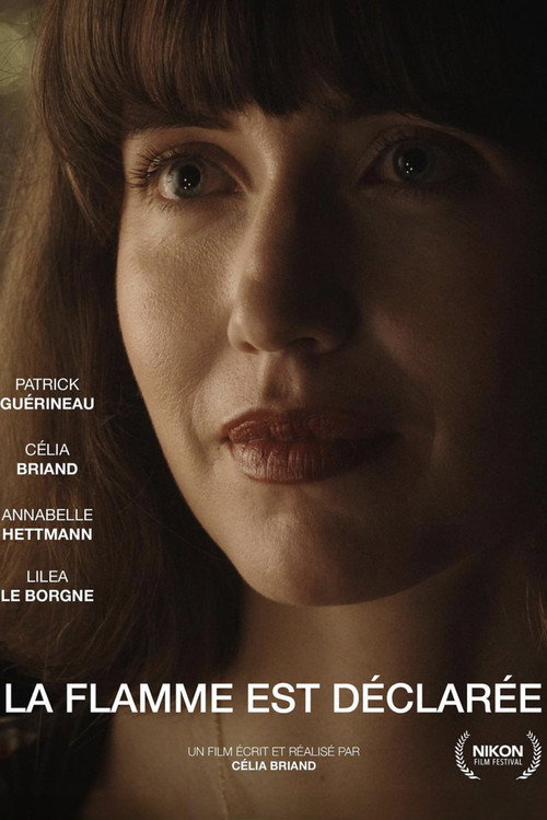 Movie poster for La flamme est déclarée (2024)