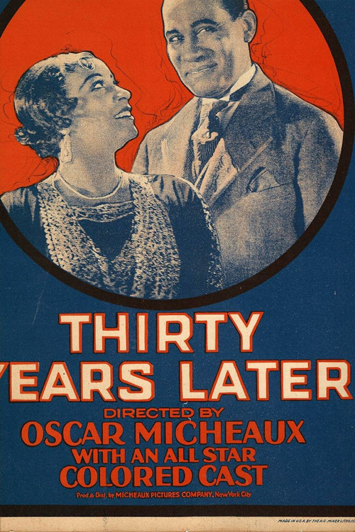 Movie poster for Thirty Years Later (1928)