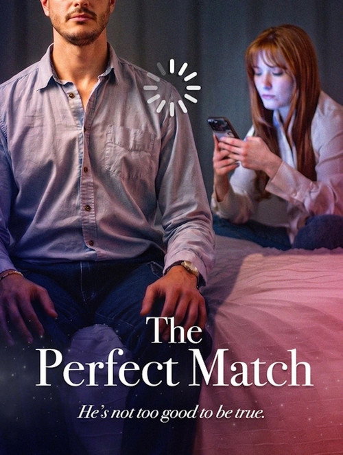 Movie poster for The Perfect Match