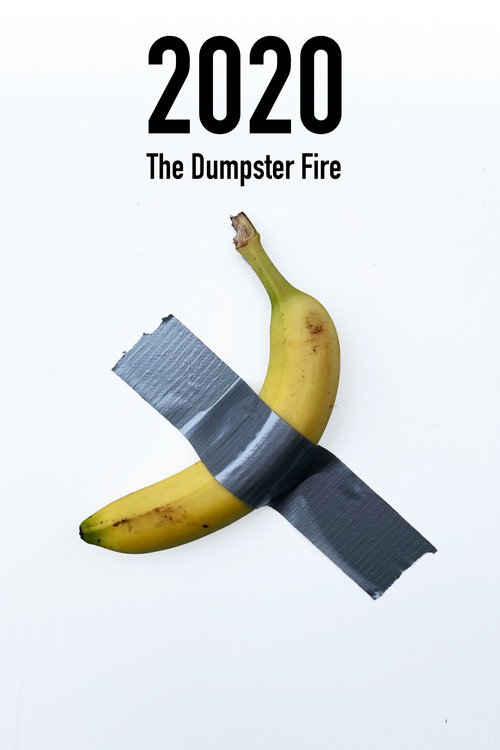 Movie poster for 2020: The Dumpster Fire (2021)