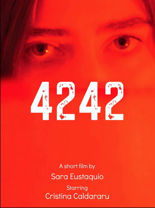 Movie poster for 4242 (2016)