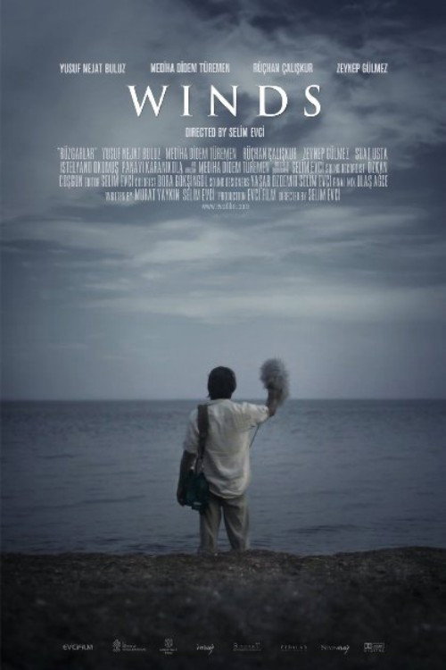 Movie poster for Winds (2013)