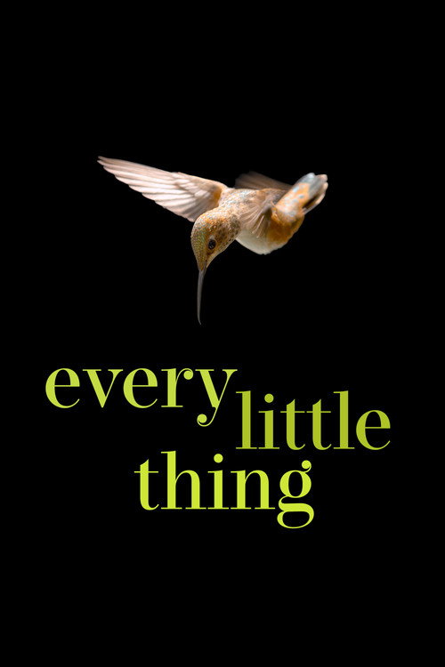 Movie poster for Every Little Thing (2025)