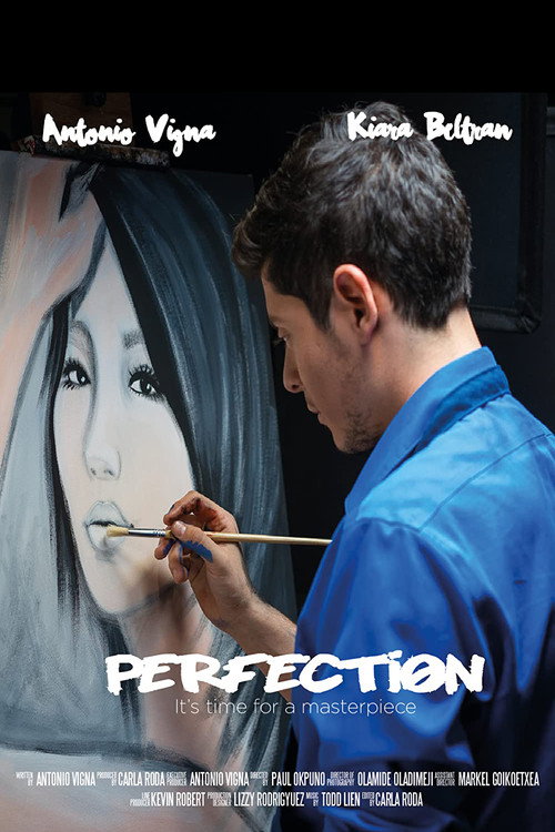 Movie poster for Perfection (2017)