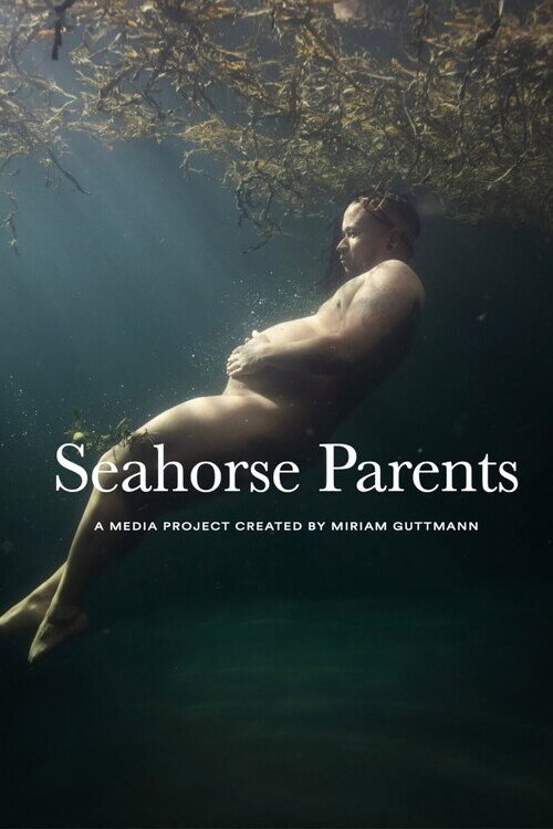 Movie poster for Seahorse Parents (2023)