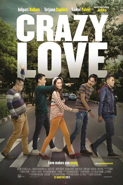 Movie poster for Crazy Love (2013)