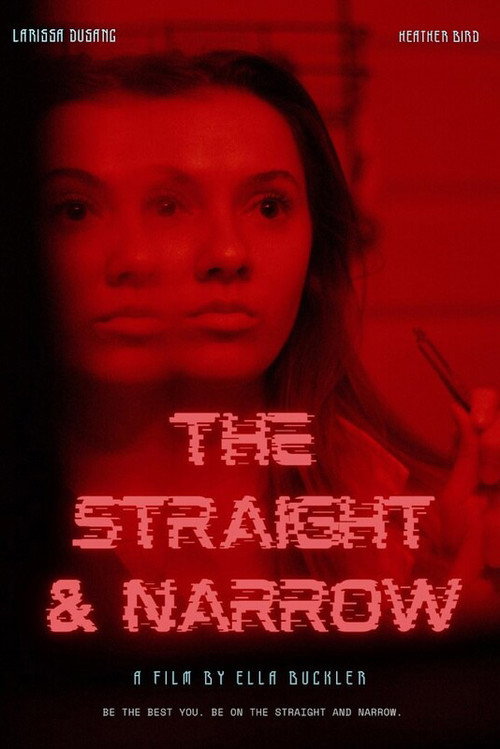 Movie poster for The Straight and Narrow (2023)