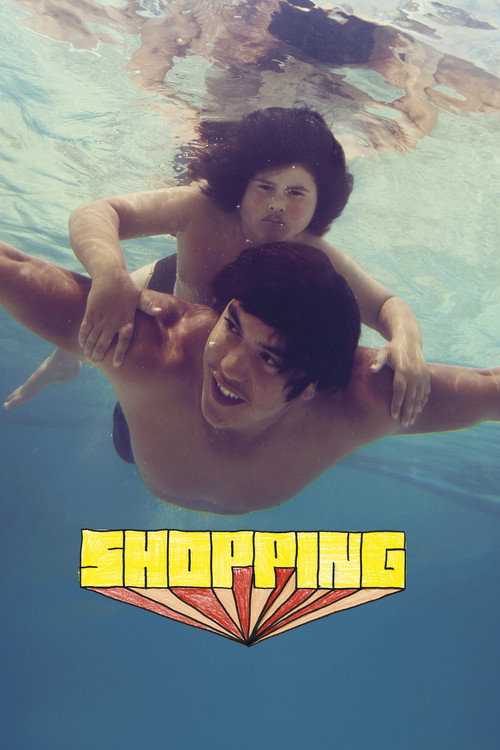 Movie poster for Shopping (2013)